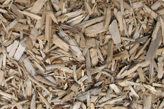 biomass boilers Gadfa